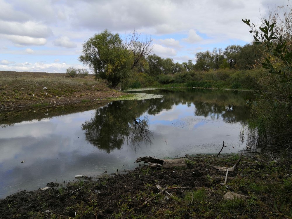 Photograph by Наталья Басова