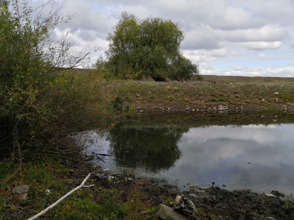 Photograph by Наталья Басова