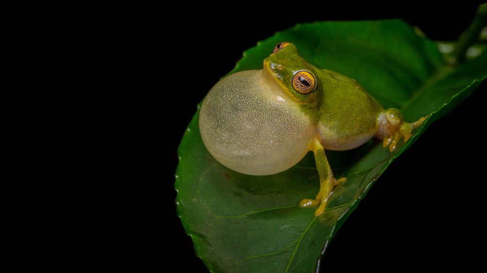 Photograph by Shajin