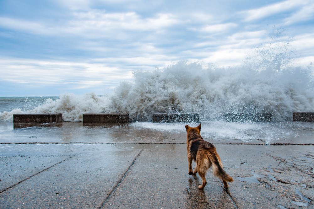 В ожидании новой волны