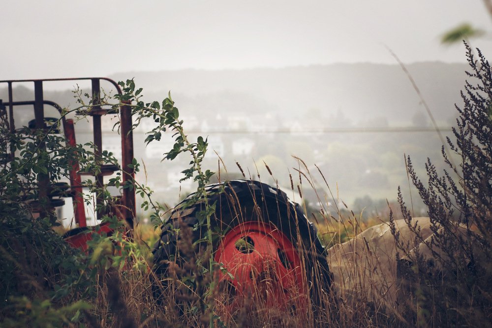 Photograph by Анастасия Павлова