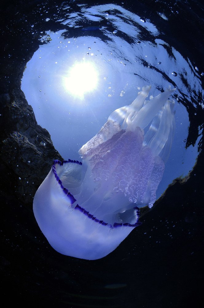 Photograph by Alfredo Milazzo