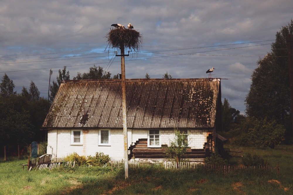 Photograph by Анастасия Павлова