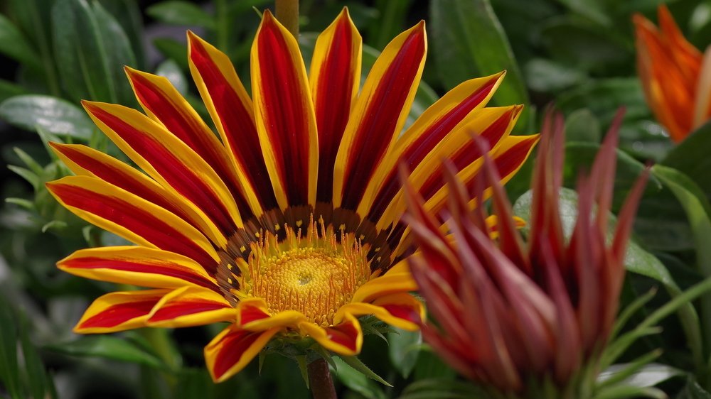 В начале лета.