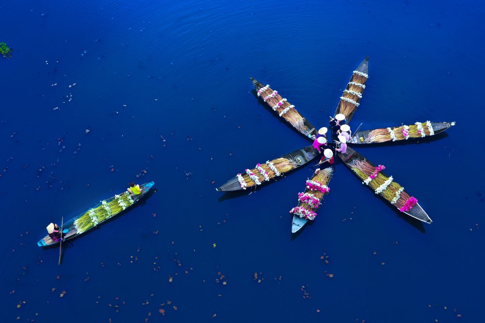 The Water Lity field