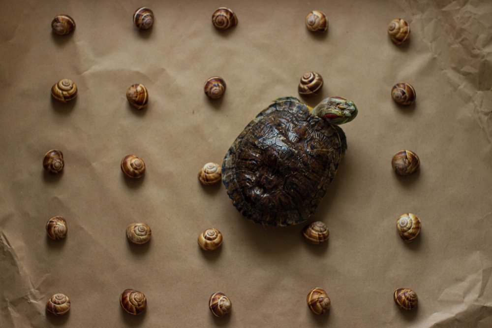 Photograph by Мила Мокина-Хайруллова