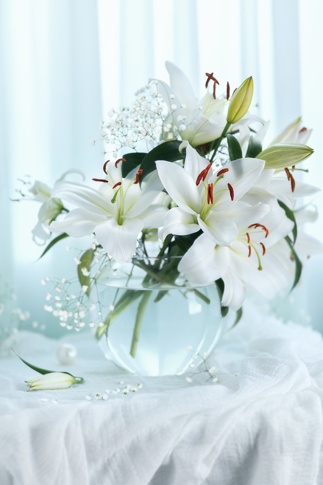 Photograph by Светлана Сагайдачная