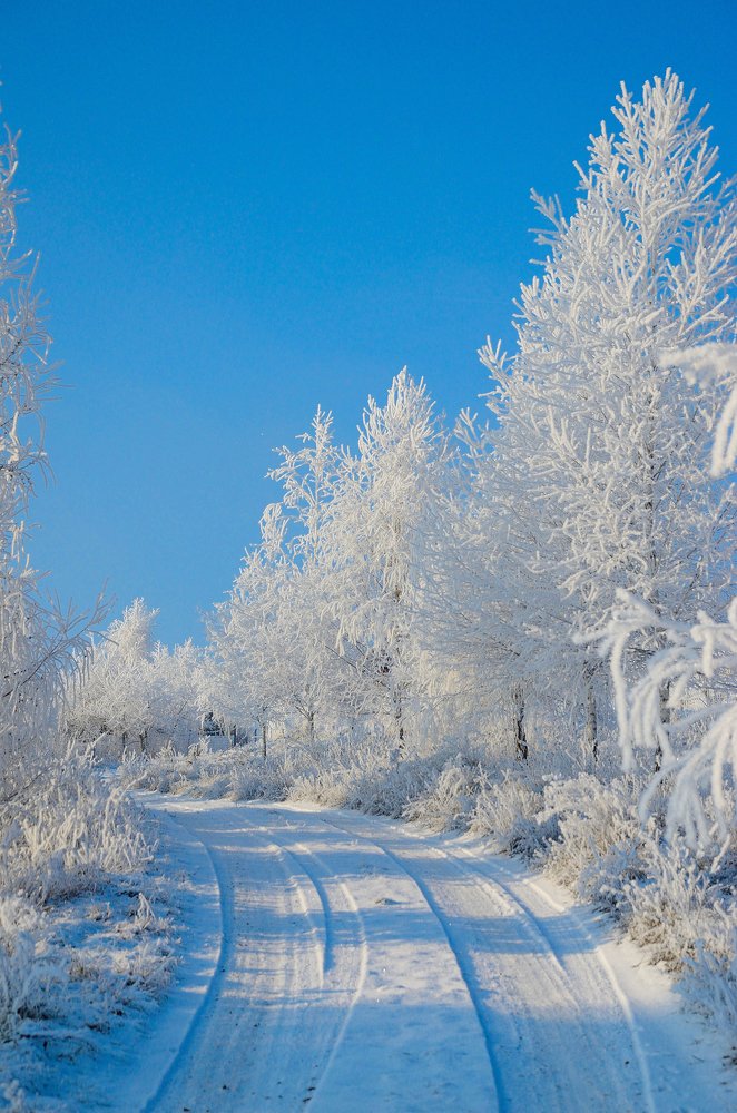 Фотография автора Teglaş Marin