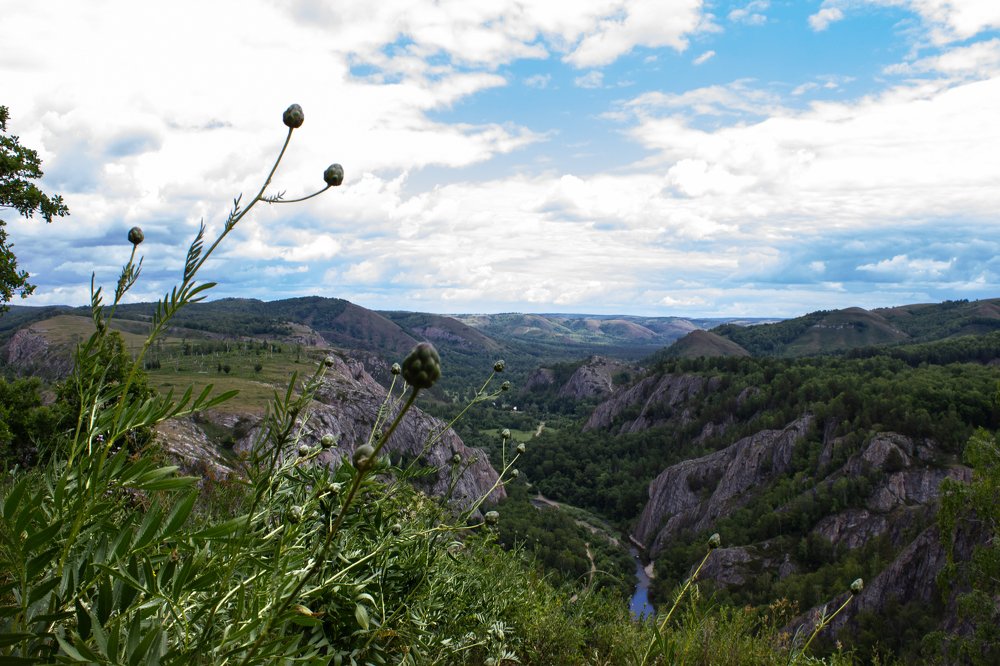 Photograph by Мила Мокина-Хайруллова