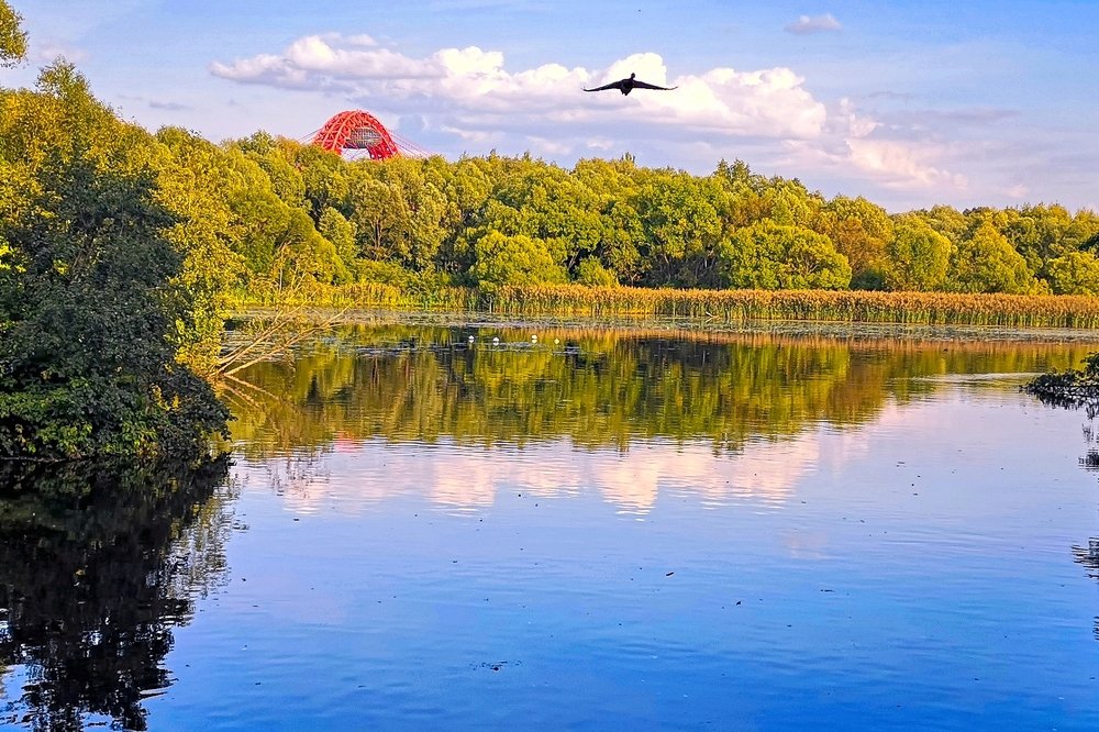 Времена года на Бездонном озере ( Серебряный Бор) . 2018-2020гг.