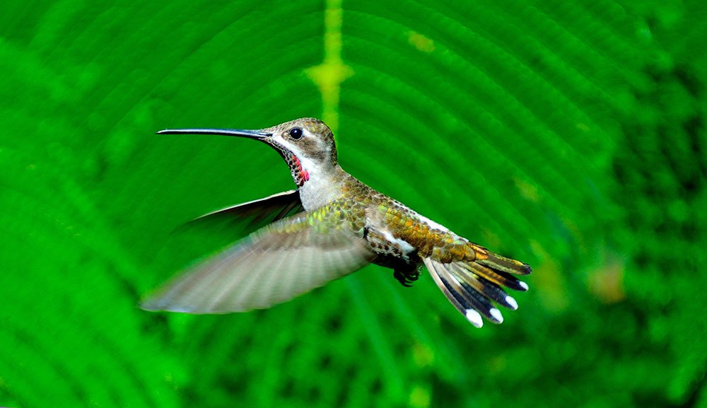 Photograph by Sigifredo Velázquez