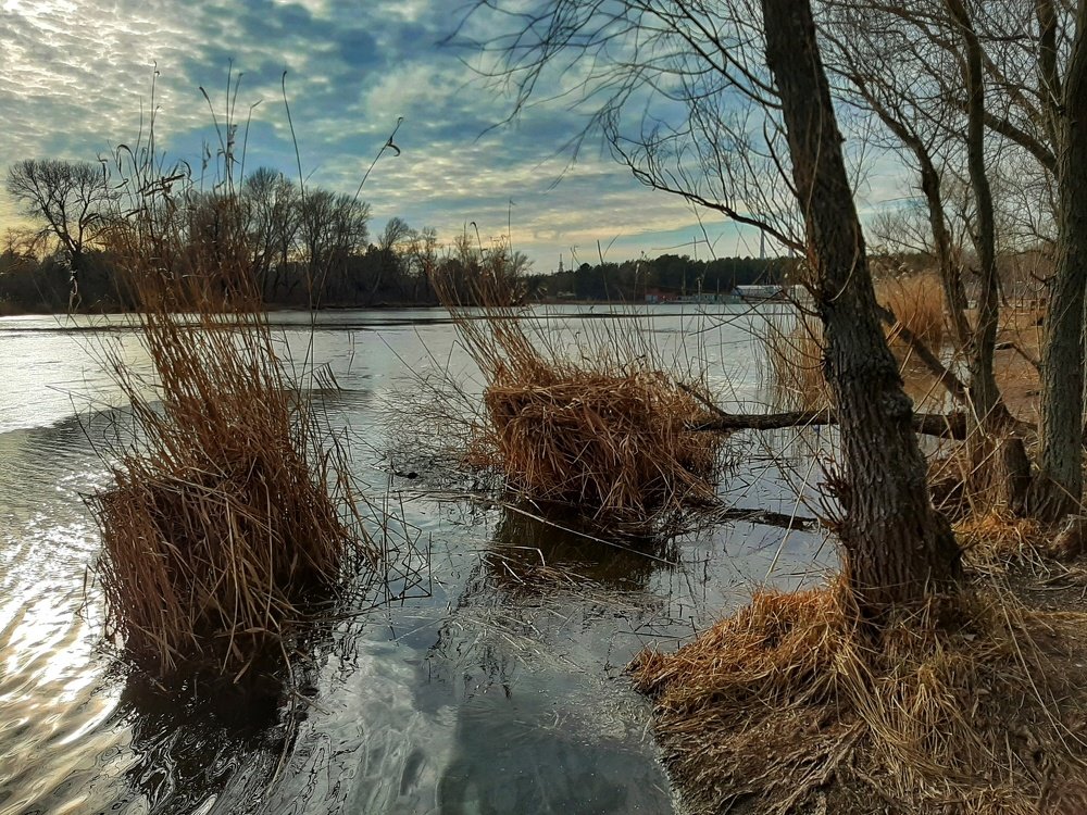 Фотография автора Ирина Якущенко