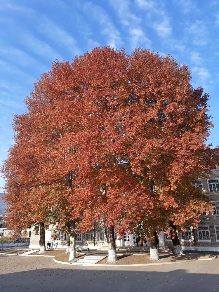 Photograph by Լուսինե Հարությունյան