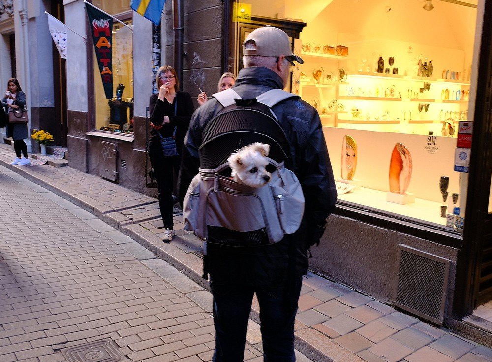 Gamla Stan