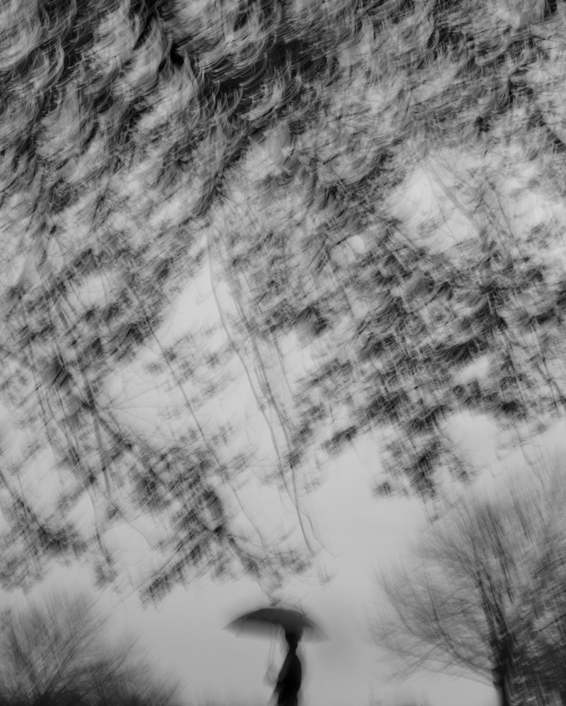 Walking in the park.