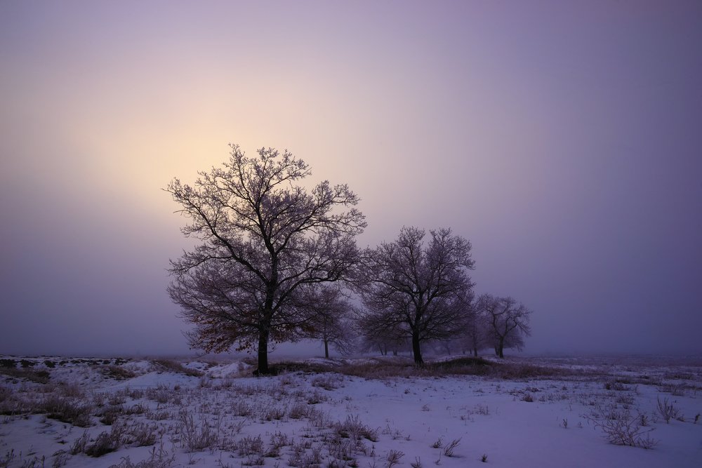 Фотография автора Игорь Баранов
