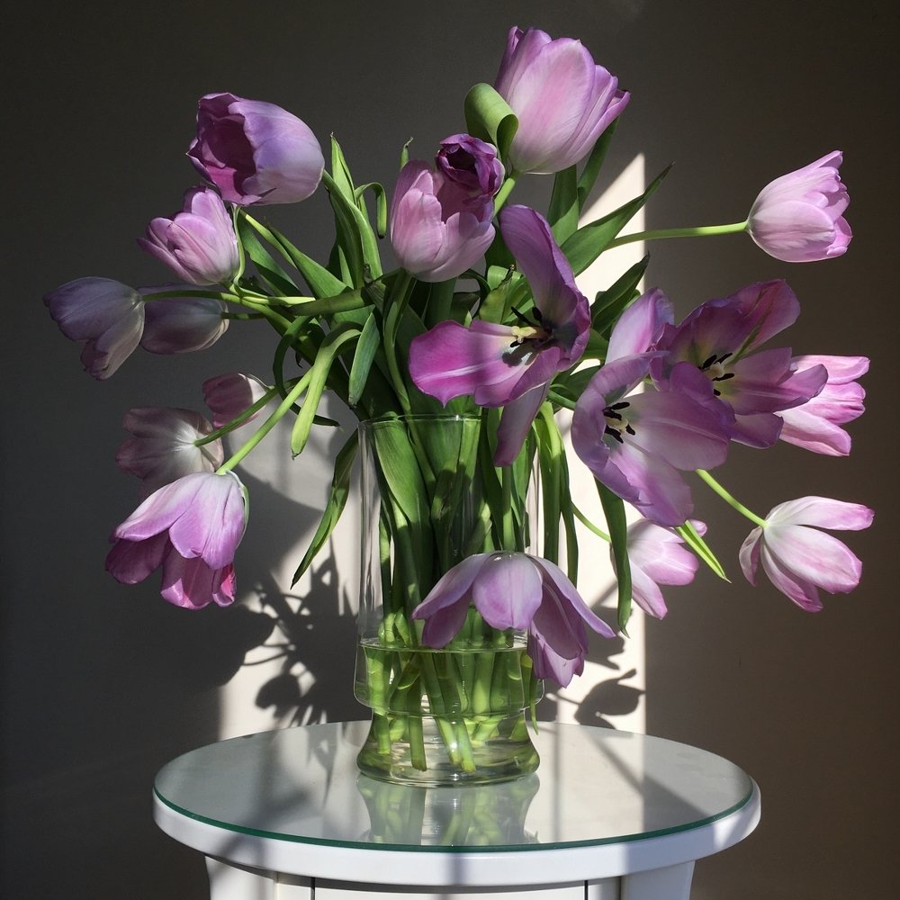 Photograph by Irina Novikova