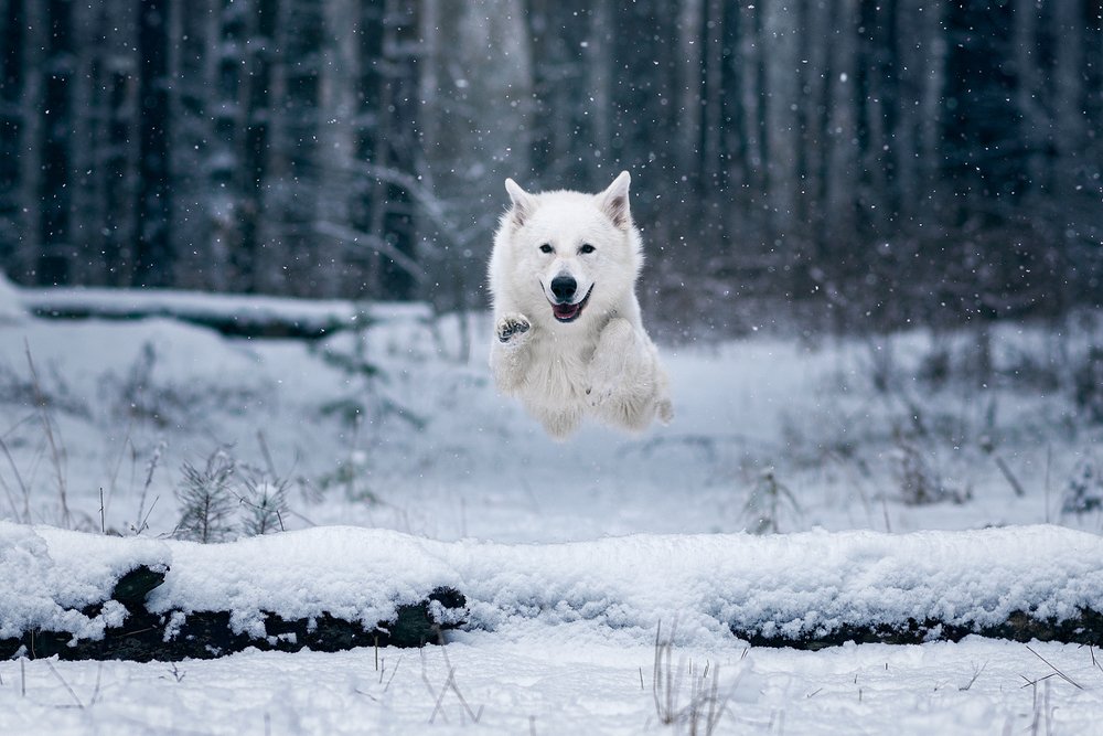 Photograph by Евгений Крутиков