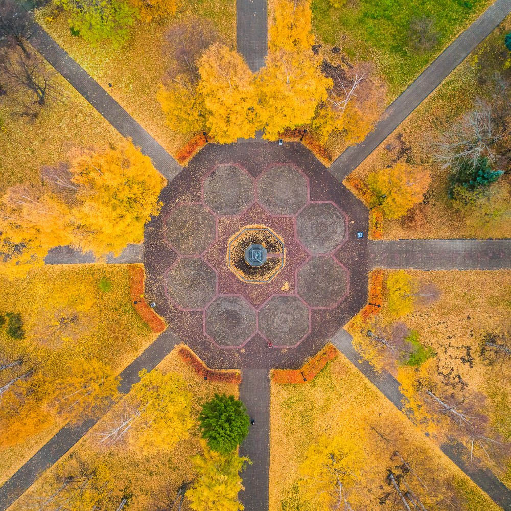 Петровский сквер в городе Петрозаводске