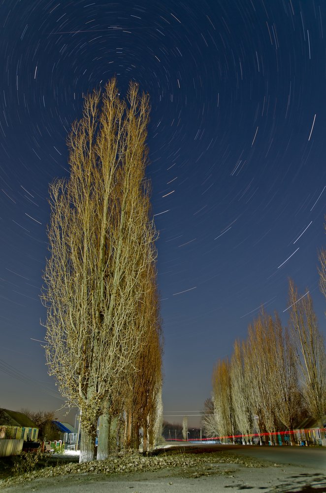 Photograph by Александр