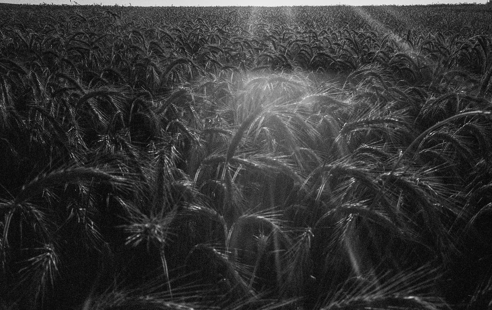 Photograph by jean-pierre damen