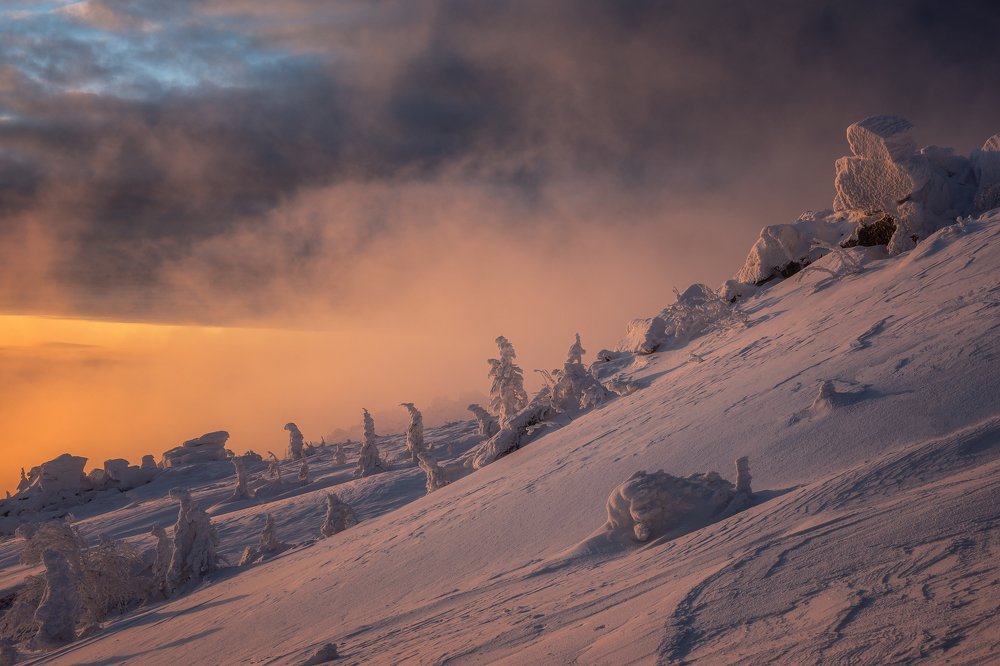 Photograph by Алексей Козаченко
