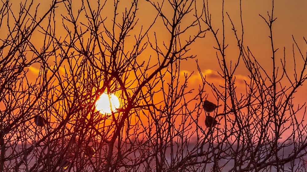 Photograph by Сергей Самарский