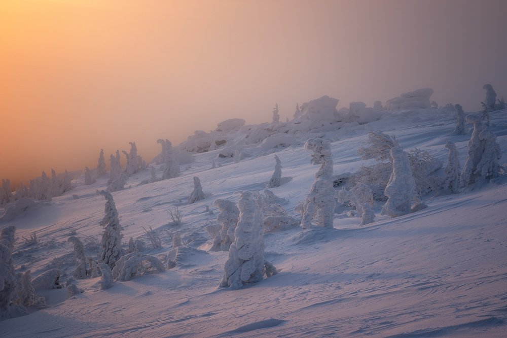 Photograph by Алексей Козаченко