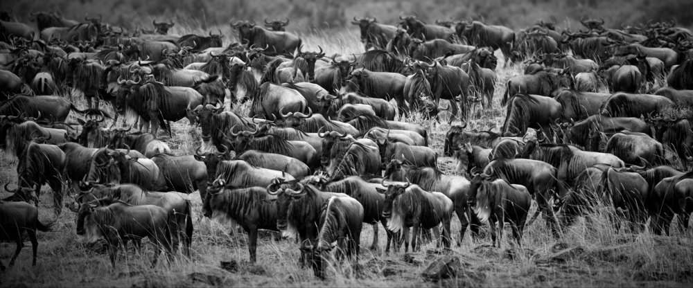 Сообщество