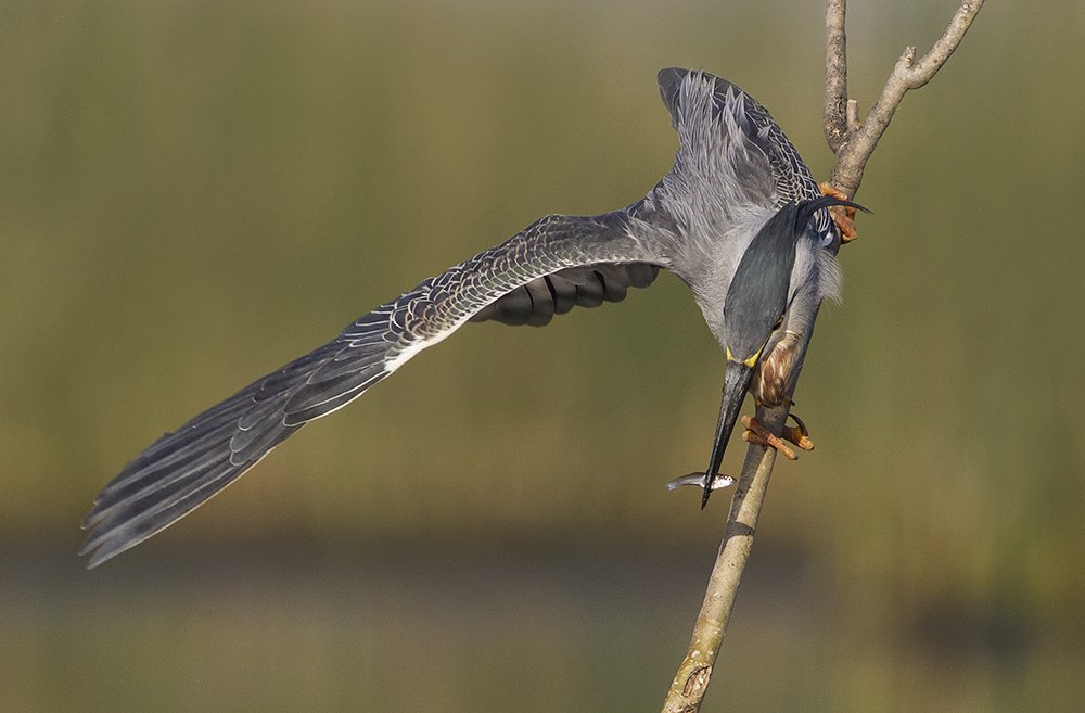 Photograph by Horacio Artero