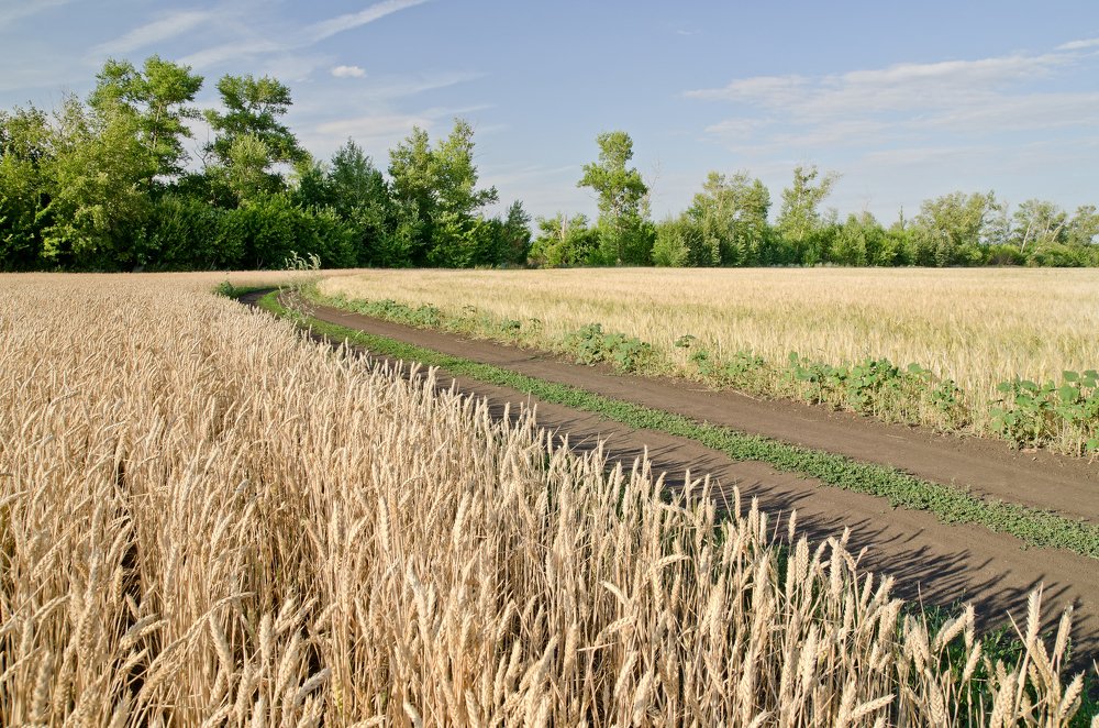 Photograph by Александр