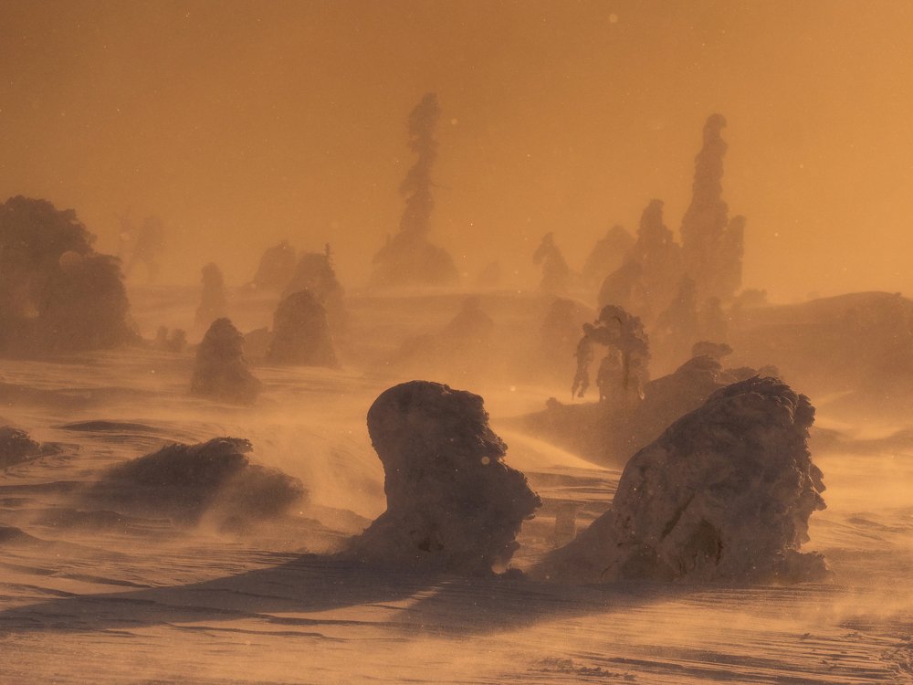 Photograph by Осипов Ёжъ Александр