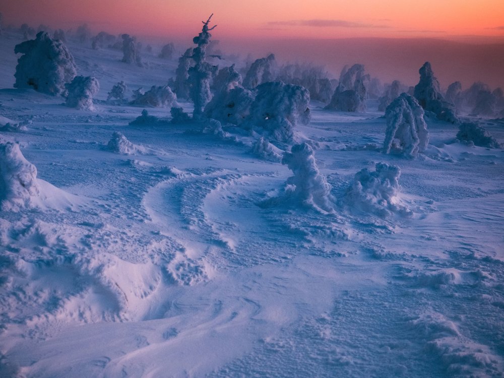 Photograph by Осипов Ёжъ Александр