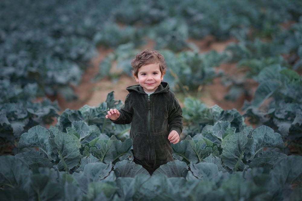 Photograph by Светлана Тузлукова