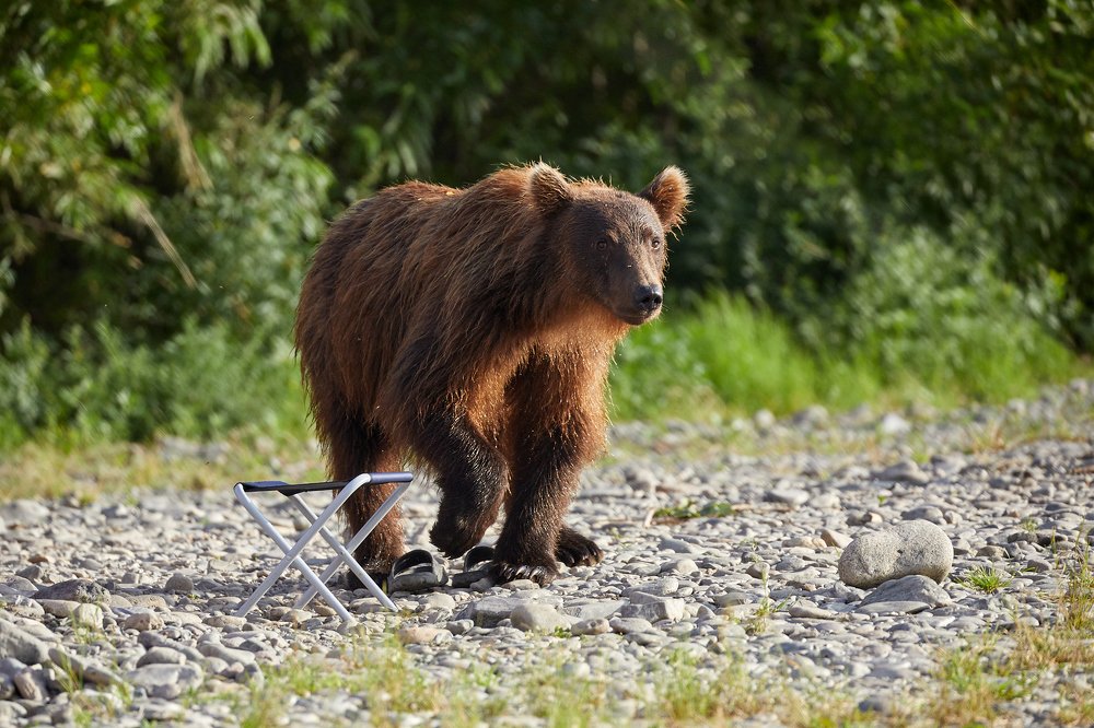 Фотография автора Mikhail Mikhaylov
