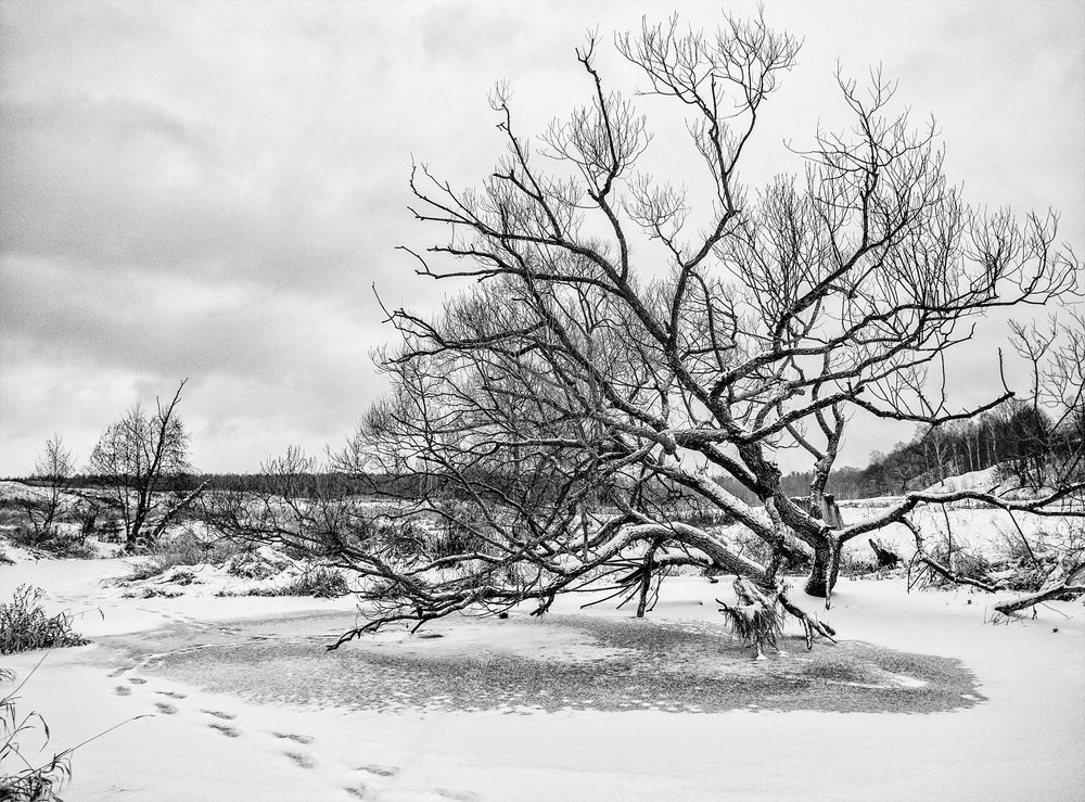 Photograph by Марина Брыдня