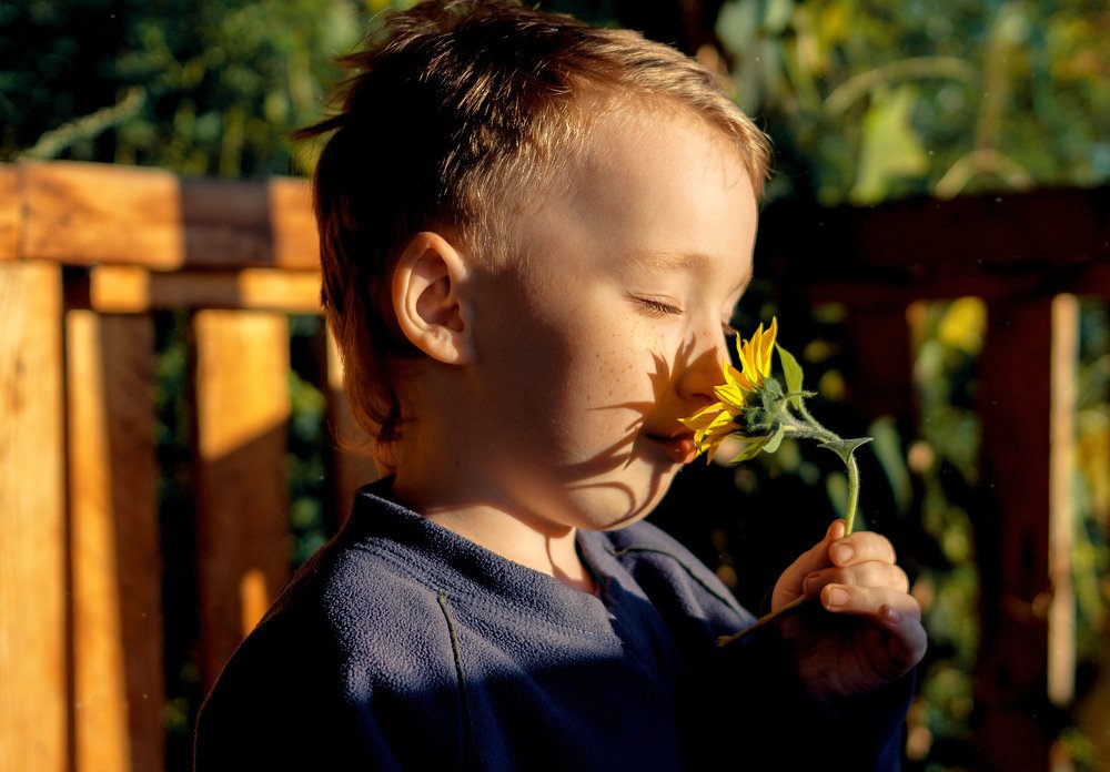 Photograph by Ирина Целовальникова