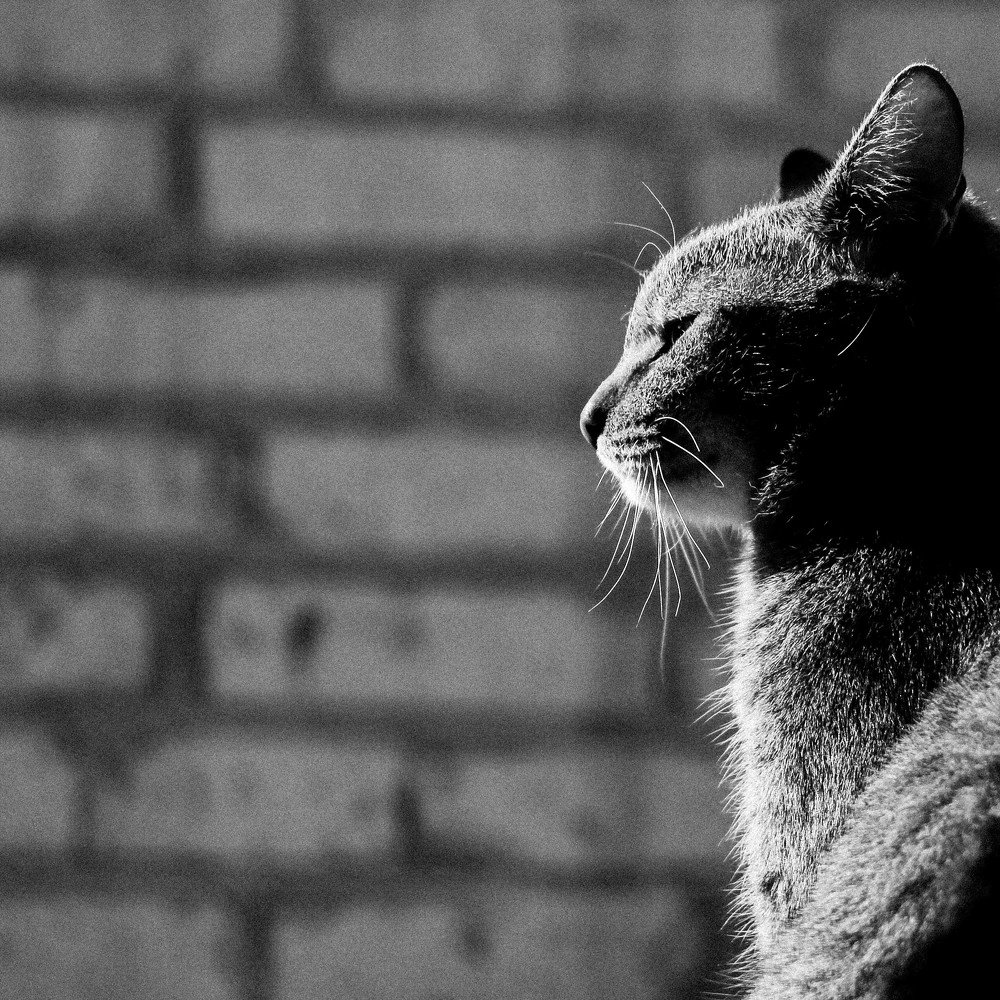 Photograph by Арсений Гордеев