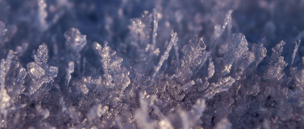 Хрустальный лес