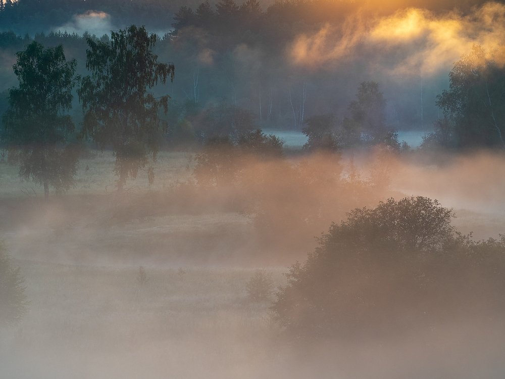 Photograph by Марина Брыдня