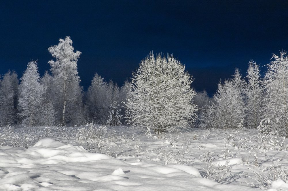 Photograph by Марина Брыдня