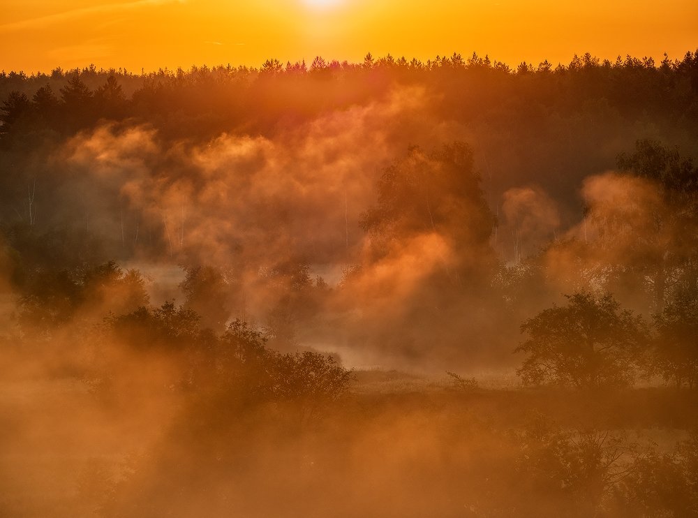 Photograph by Владимир Перепечаев