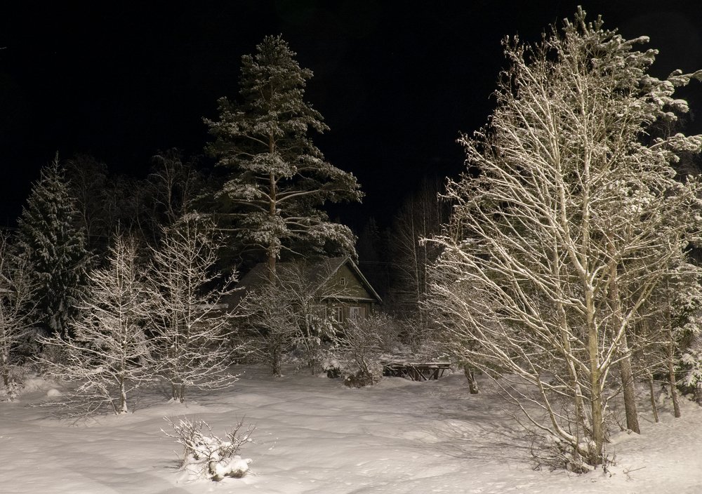 Photograph by Марина Брыдня