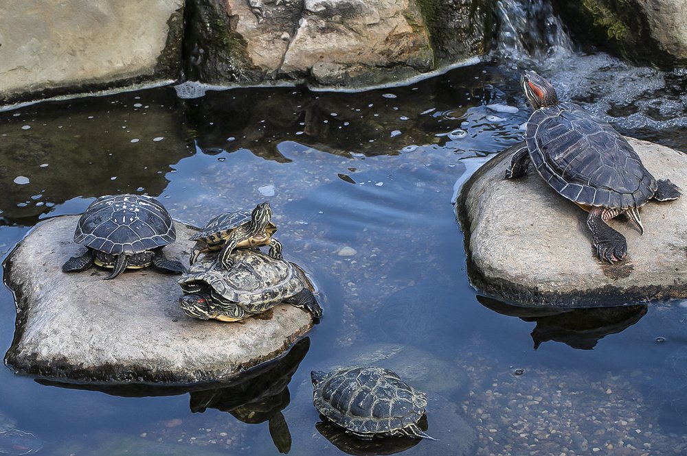 Photograph by Евгений Барзенков