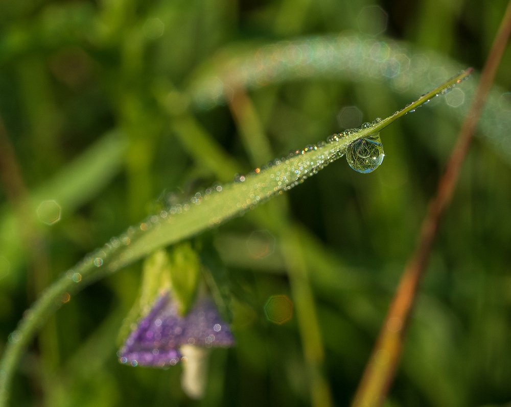 Photograph by Владимир Перепечаев
