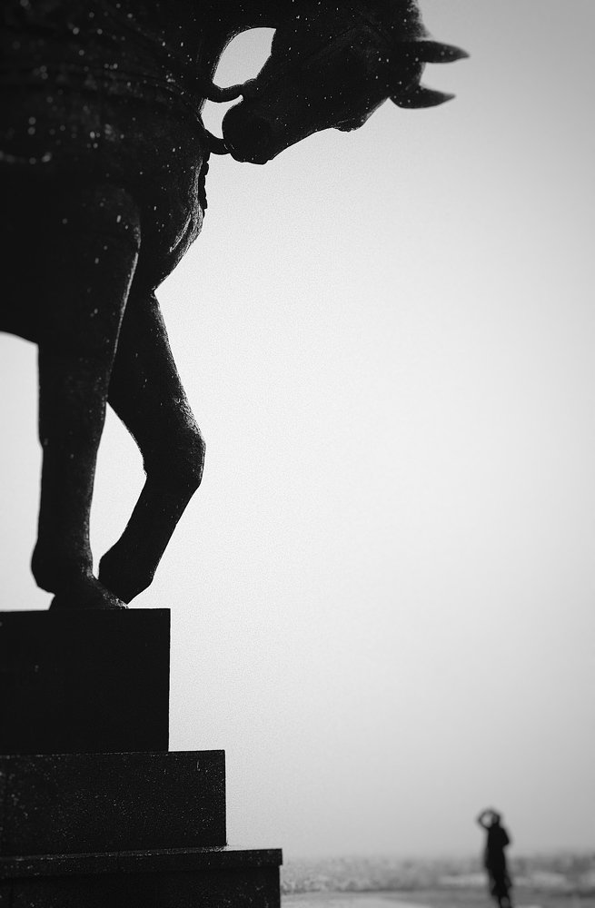 Photograph by Мария Алексеева