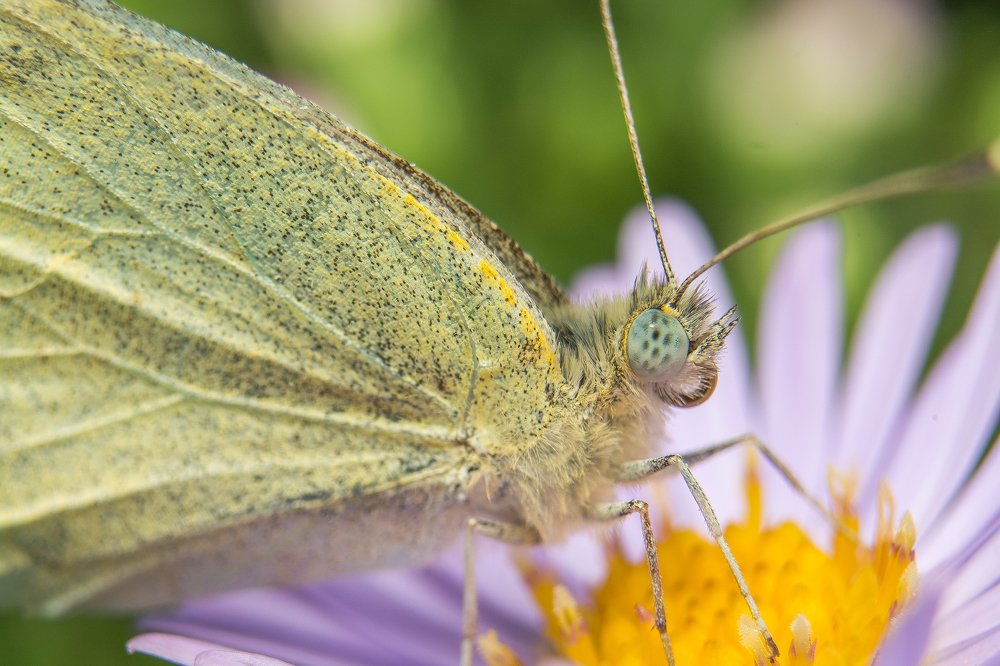 Photograph by Павел