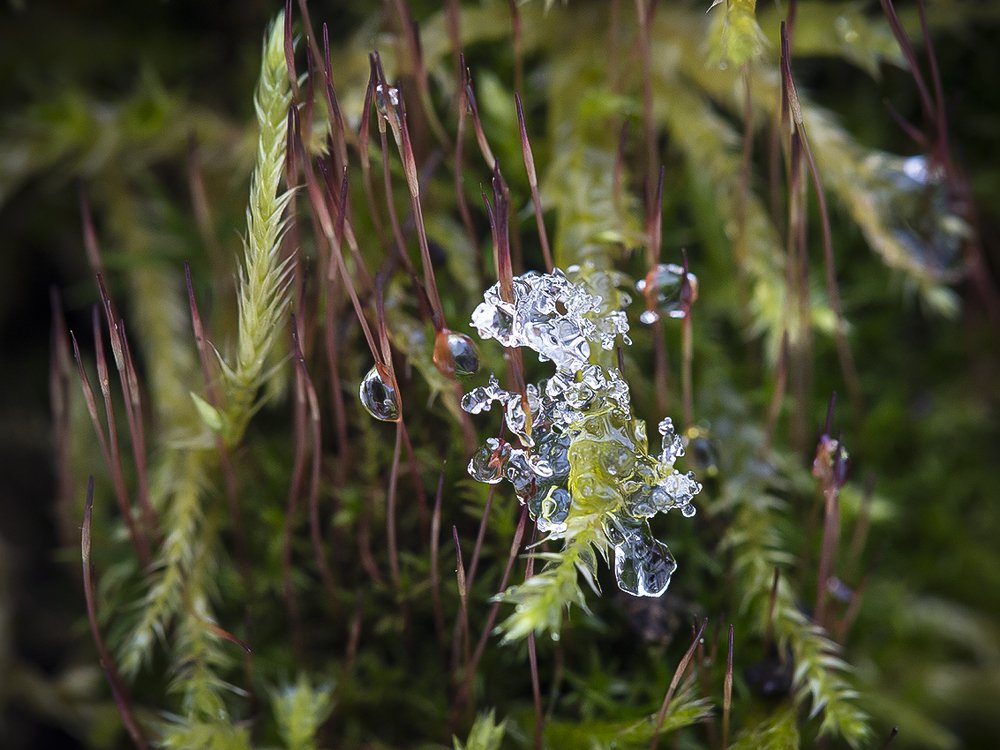Photograph by Евгений Барзенков