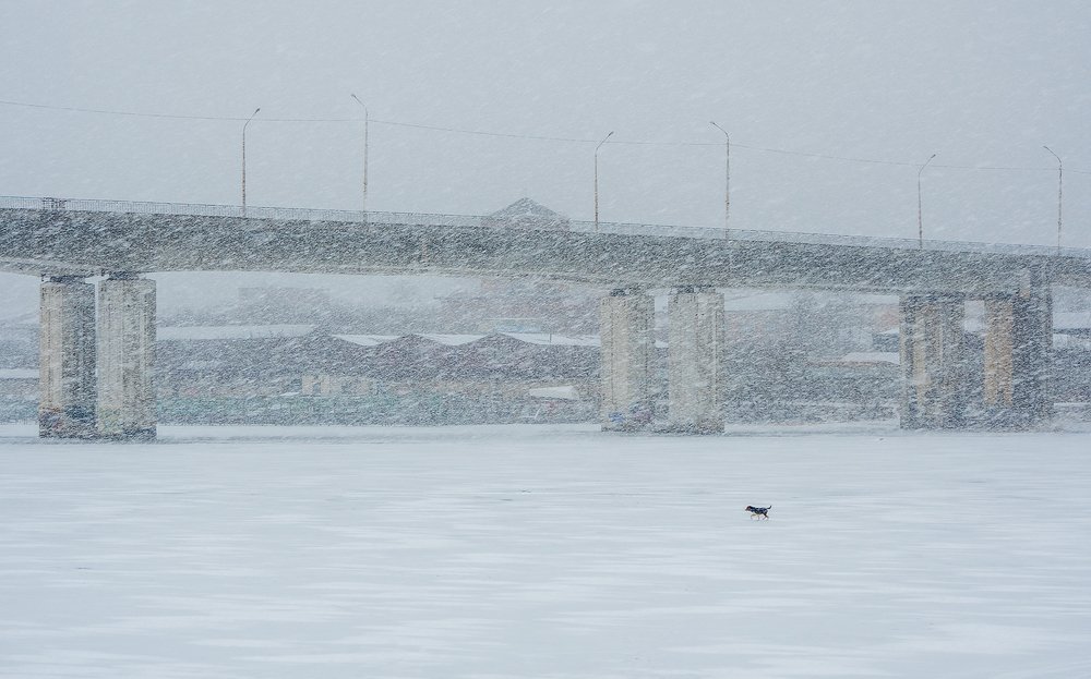 Photograph by Владимир Перепечаев