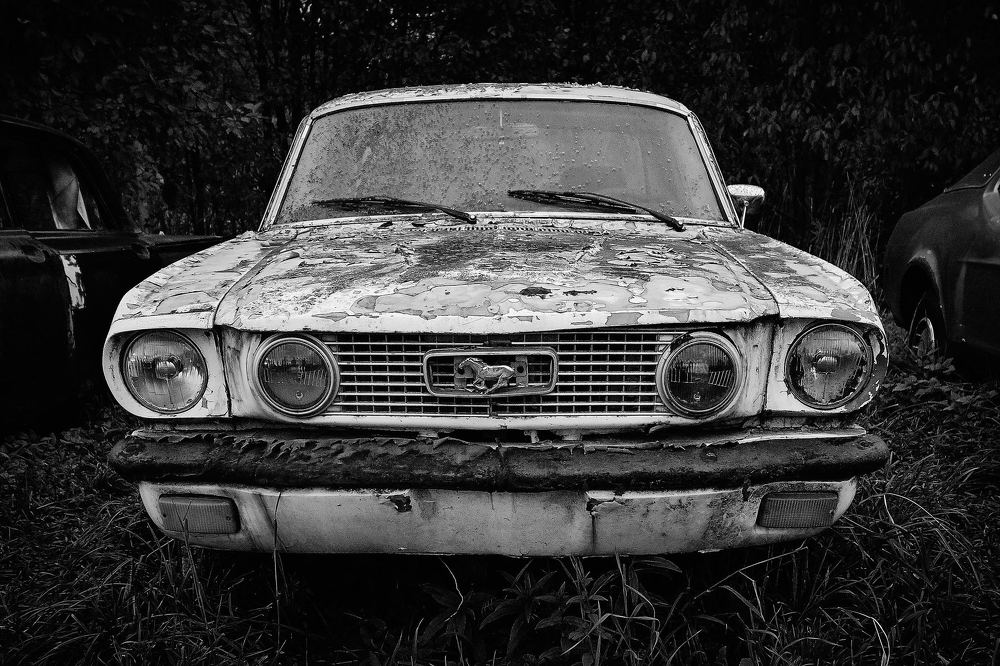 Photograph by Пётр Дедковский